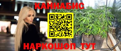 бошки Будённовск