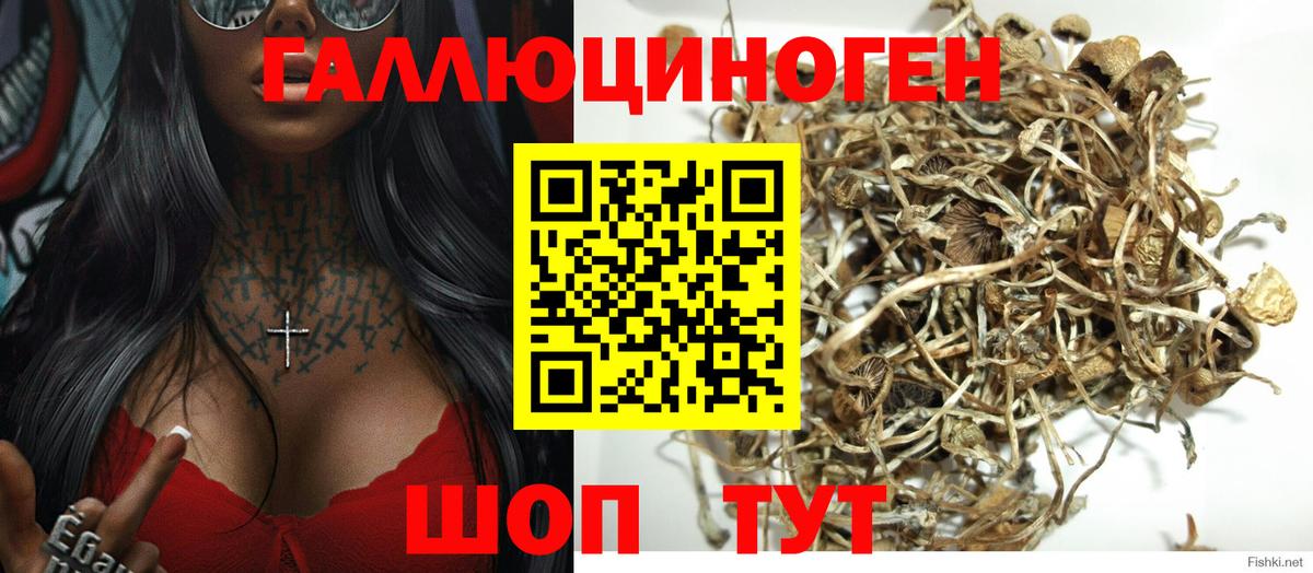 Галлюциногенные грибы Psilocybe  Вход с VPN  магазин  наркотиков  Среднеуральск 